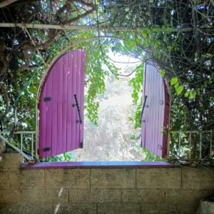 קורס אומנות למתקדמים